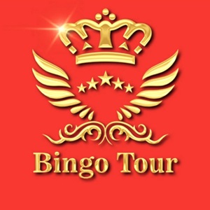 BINGO TOUR, un chauffeur attitré à Nice
