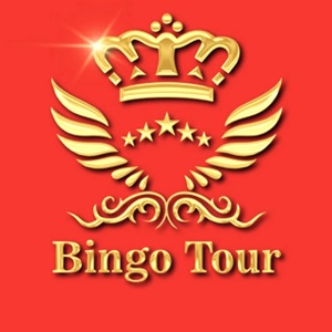 BINGO TOUR, un chauffeur privé à Digne-les-bains