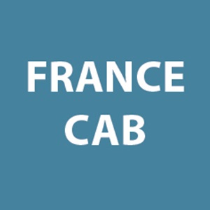 FRANCE CAB & SERVICES, un taximan à Puteaux