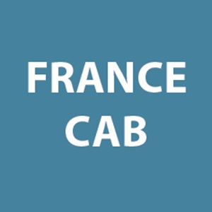 FRANCE CAB & SERVICES, un chauffeur de taxi à Moissy-Cramayel