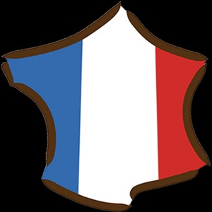 immatriculation-vehicule.com à Toulouse