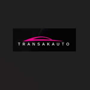 Transakauto, un technicien auto à Vénissieux