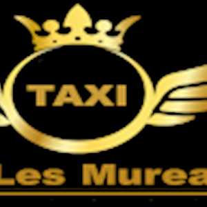 Marie, un chauffeur de taxi à Saint-Germain-en-Laye