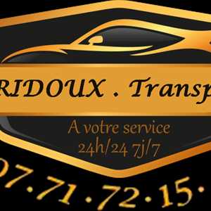 BRIDOUX TRANSPORTS, un chauffeur de taxi à Dieppe